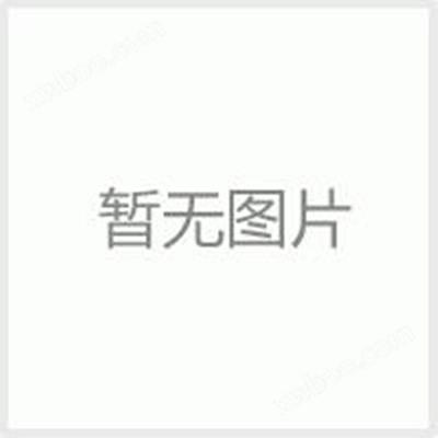 电熨斗表面温升测试仪DMS